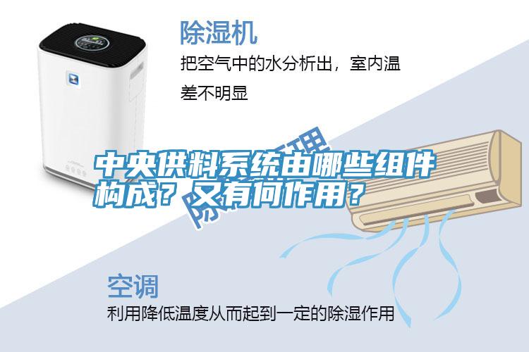 中央供料系統由哪些組件構成?又有何作用?
