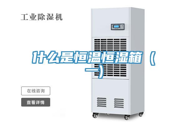 什么是恒溫恒濕箱(一)