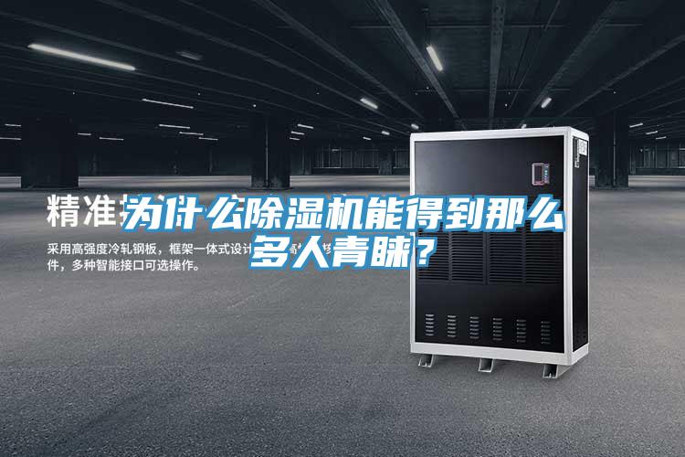為什么除濕機能得到那么多人青睞?