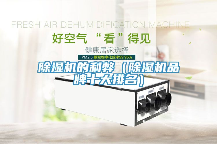 除濕機(jī)的利弊(除濕機(jī)品牌十大排名)
