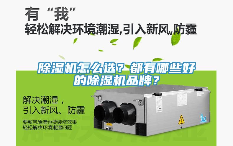除濕機怎么選？都有哪些好的除濕機品牌？