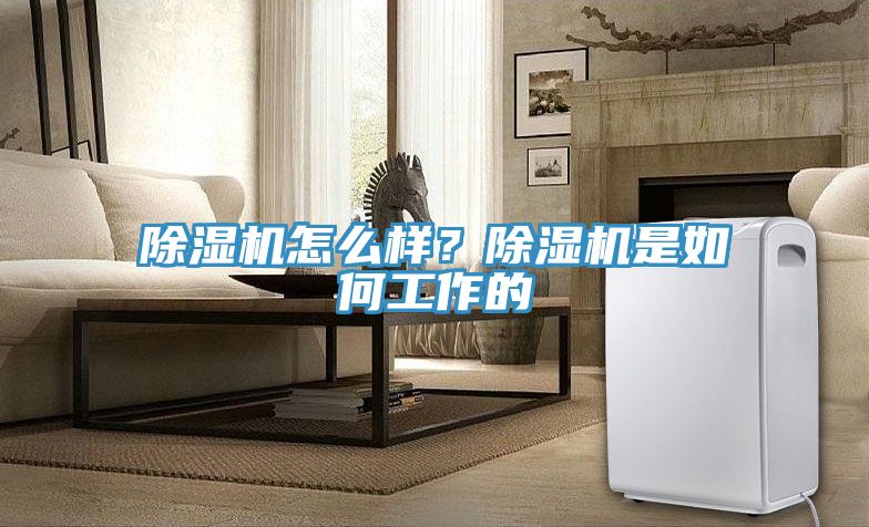 除濕機怎么樣?除濕機是如何工作的