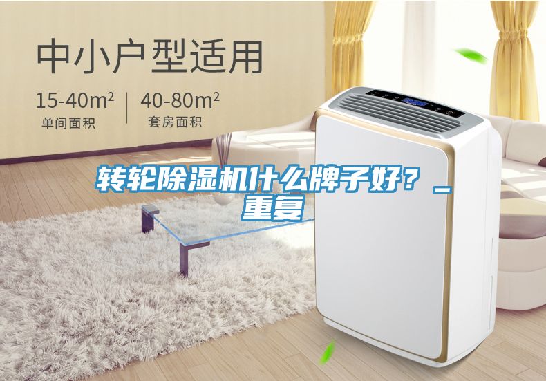 轉輪除濕機什么牌子好?_重復