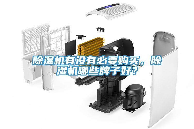 除濕機(jī)有沒(méi)有必要購(gòu)買,除濕機(jī)哪些牌子好?