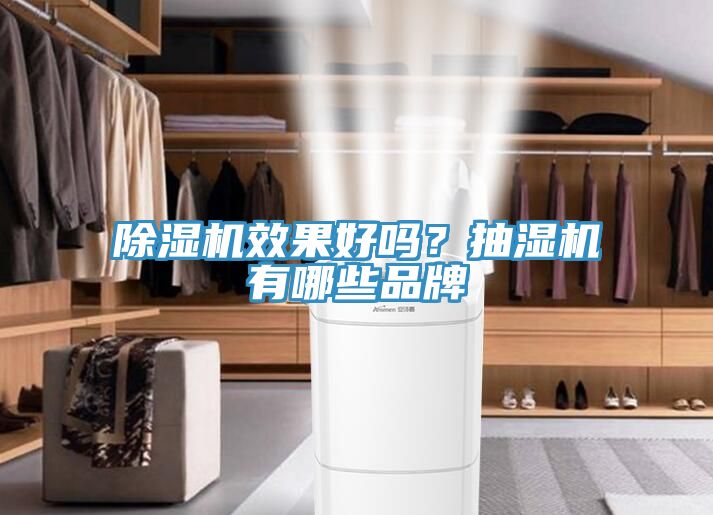 除濕機效果好嗎?抽濕機有哪些品牌