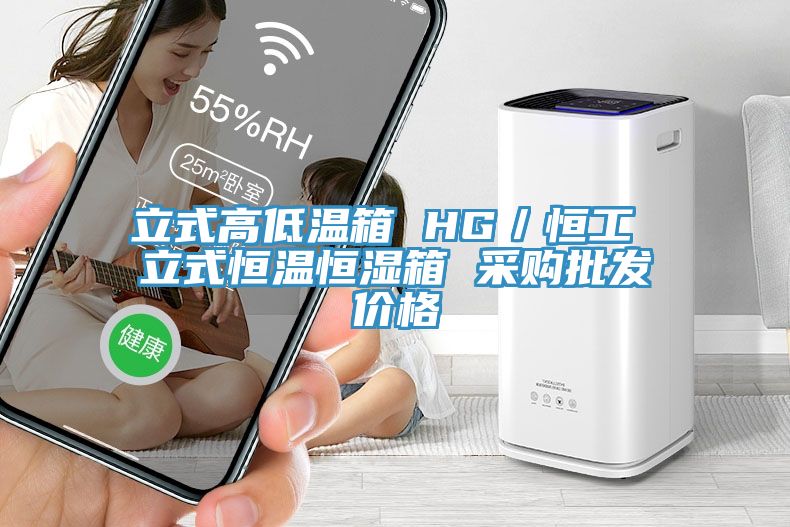 立式高低溫箱 HG/恒工 立式恒溫恒濕箱 采購批發價格