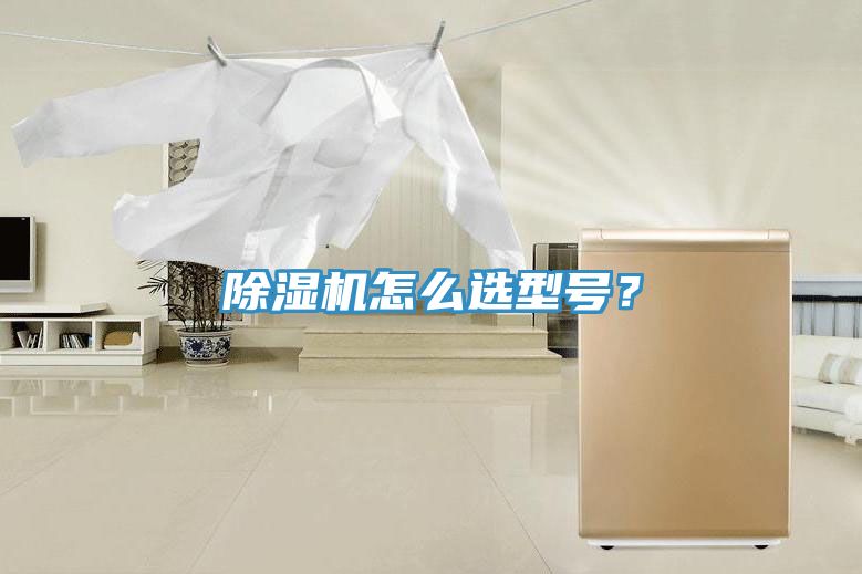 除濕機(jī)怎么選型號(hào)?