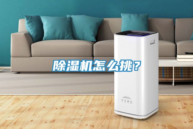 除濕機(jī)怎么挑?