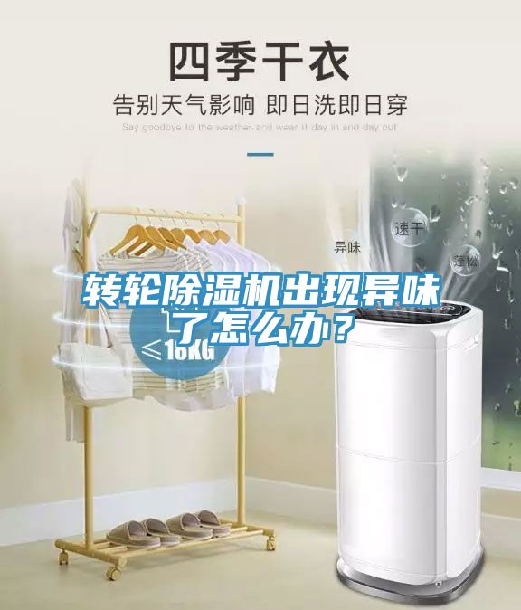 轉輪除濕機出現異味了怎么辦?