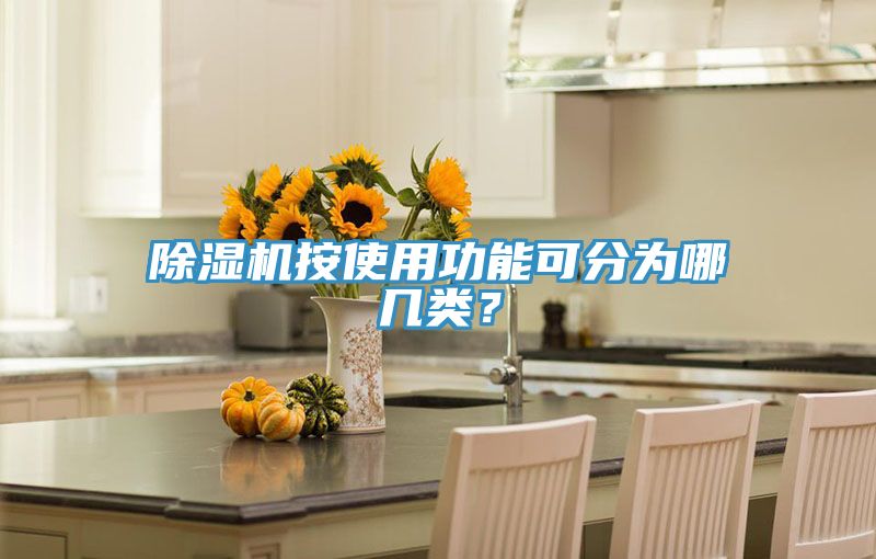 除濕機(jī)按使用功能可分為哪幾類(lèi)?