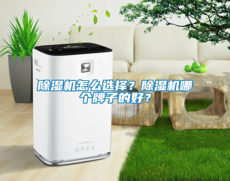 除濕機(jī)怎么選擇?除濕機(jī)哪個(gè)牌子的好?