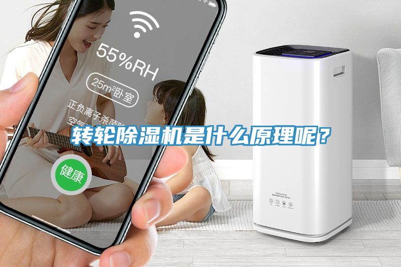 轉(zhuǎn)輪除濕機(jī)是什么原理呢?