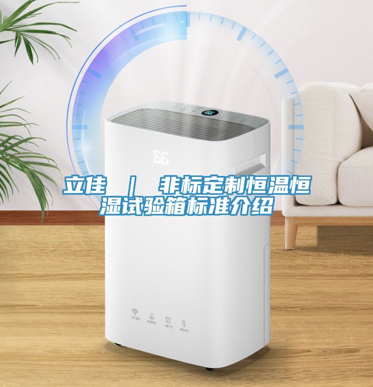立佳 | 非標定制恒溫恒濕試驗箱標準介紹